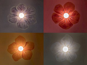 Umbau Geranienstrasse Zürich