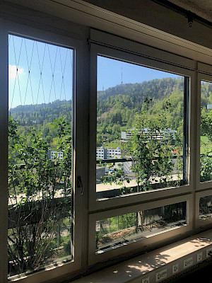 Fassadenbegrünung Stadtspital Triemli