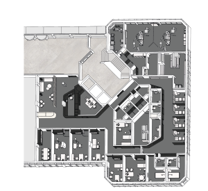 Seechirurgie Thalwil