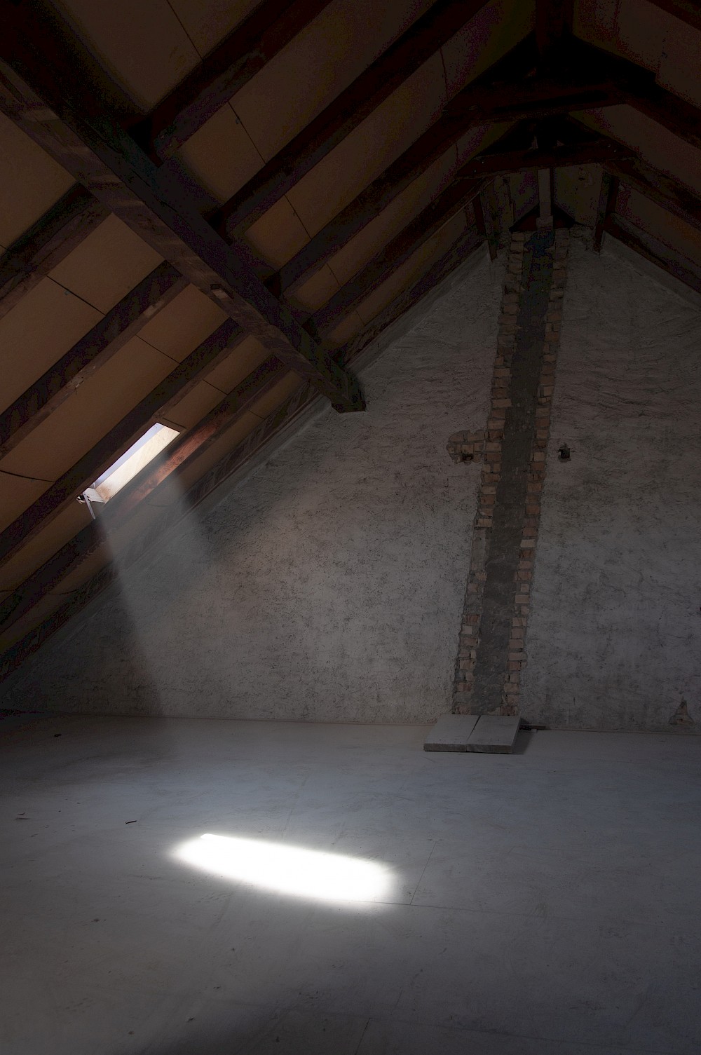 Start Umbau Geranienstrasse