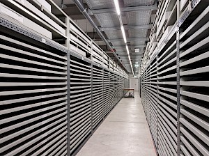 Lager Plakatsammlung – Sammlungen Toni-Areal